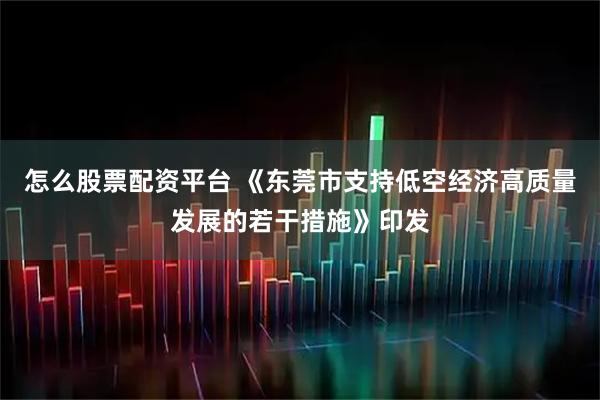 怎么股票配资平台 《东莞市支持低空经济高质量发展的若干措施》印发