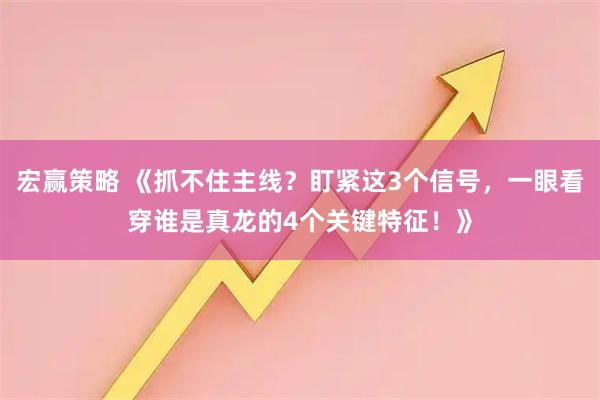 宏赢策略 《抓不住主线？盯紧这3个信号，一眼看穿谁是真龙的4个关键特征！》